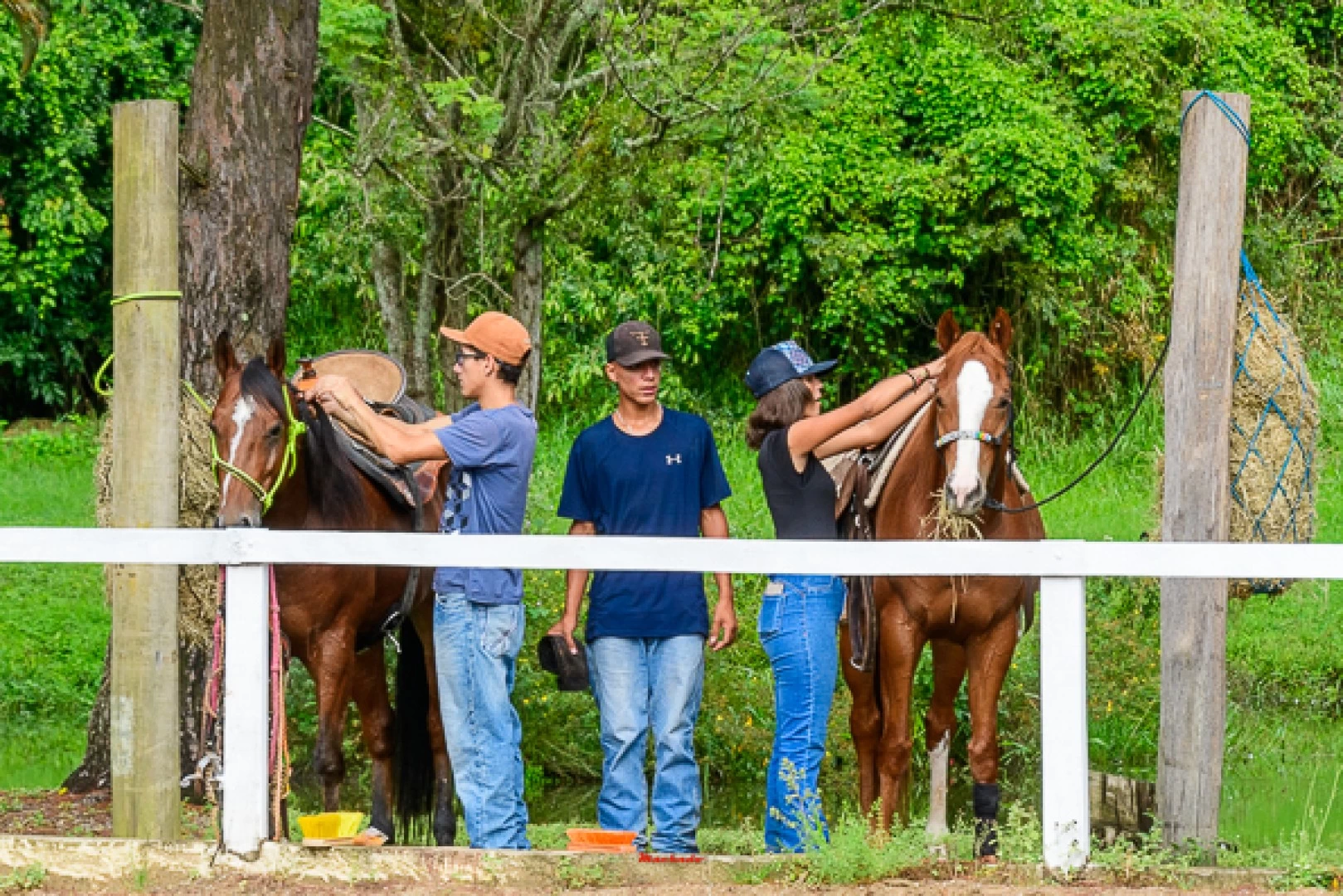 Passeio com Cavalo