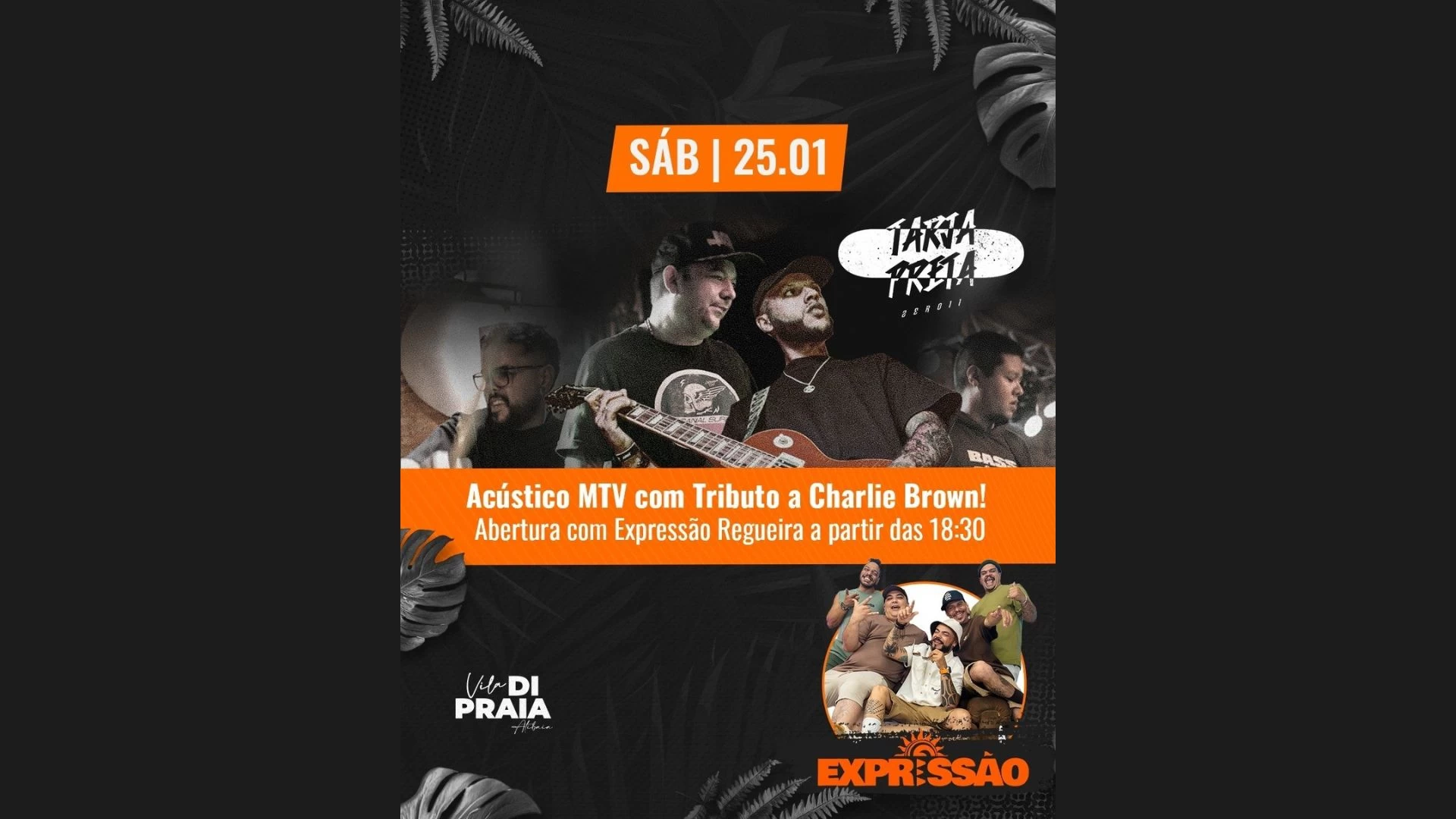 ACÚSTICO MTV
