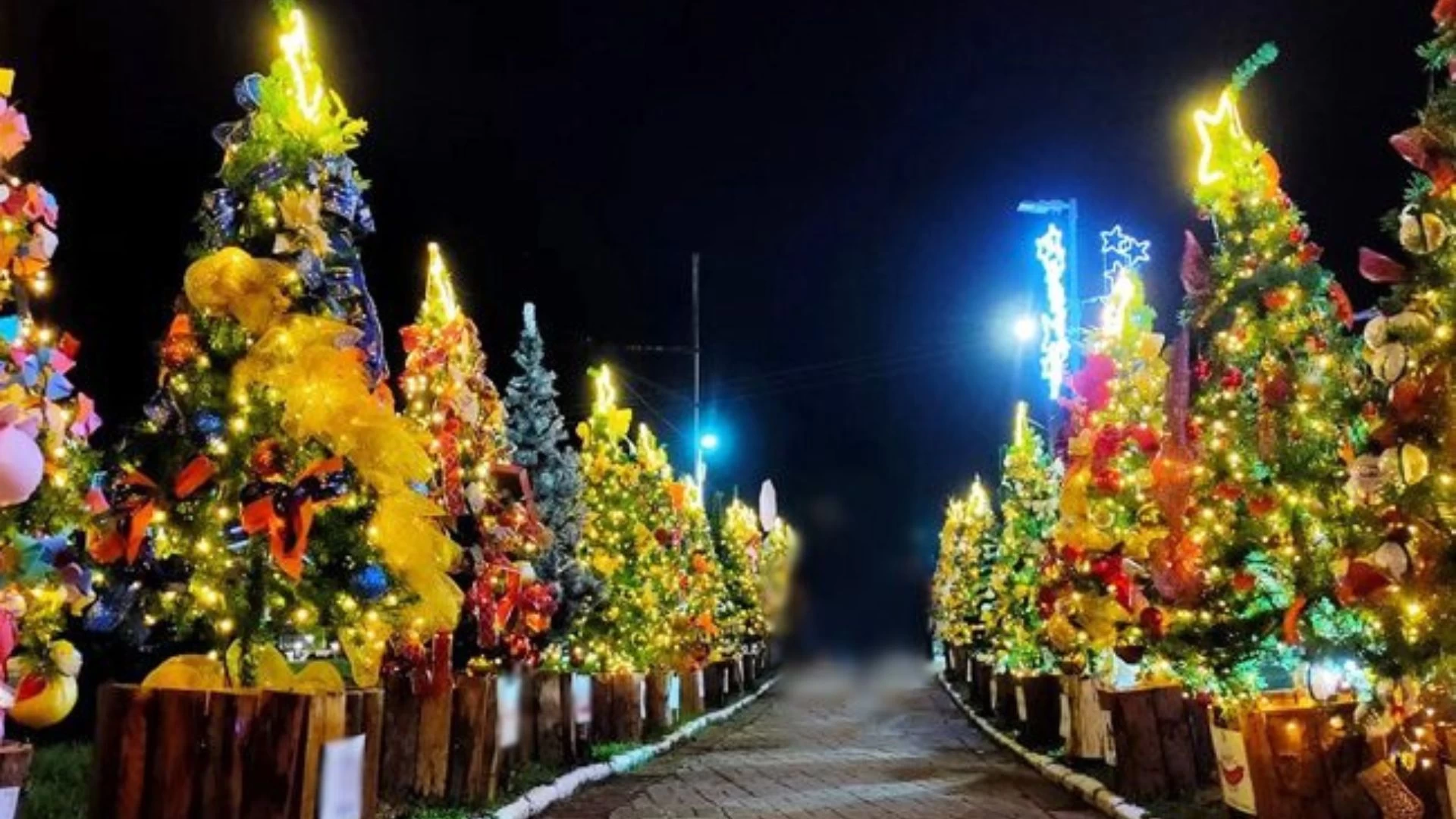 Cerimônia de Abertura do Natal 2025