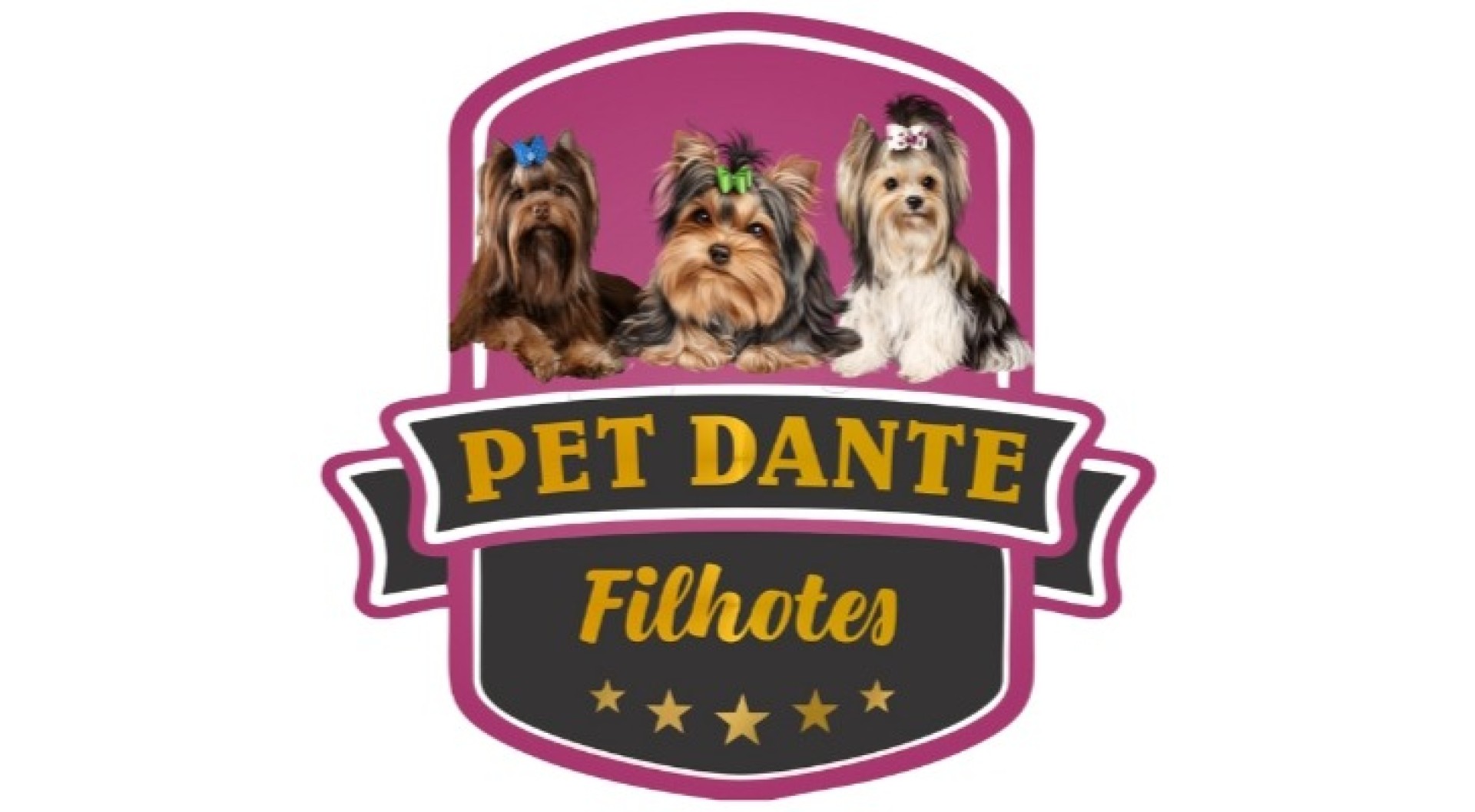 Pet Dante